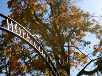 Event image for Visit Day