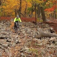 Volunteer Training and Work Day with the Friends of Rothrock