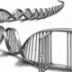 Research Misconduct – How to Stay Out of Jail
