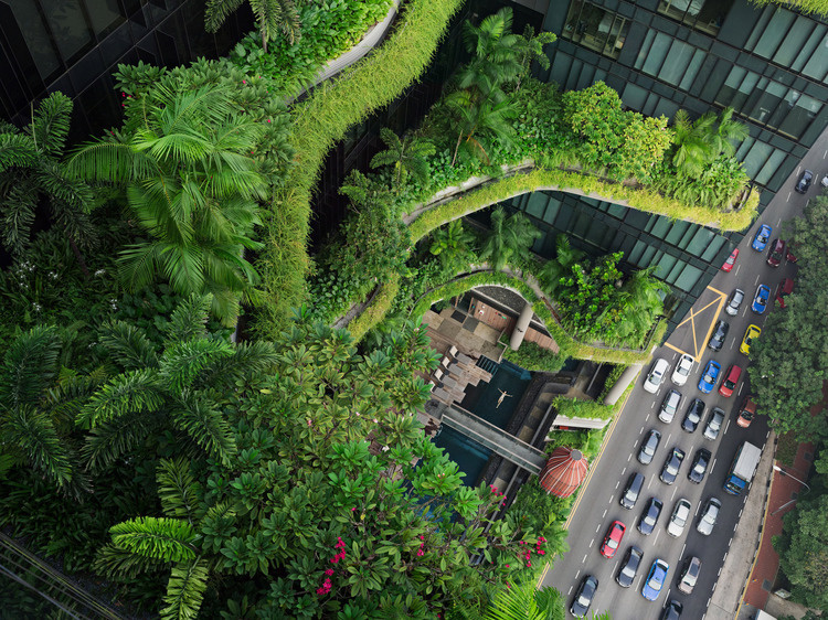 Urban Nature Walk
