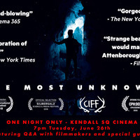 The Most Unknown