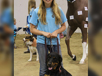 Elko County 4-H Dog Classes