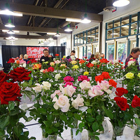 ROSE SHOW Hosted by Santa Clarita Valley Rose Society