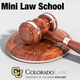 Mini Law School