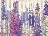 Cornell Botanical Illustrators of the 20th Century Cornell Botanical Illustrators of the 20th Century