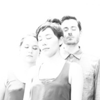 Guest Artist: Longleash Trio