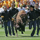 Ralphie's Corral: CU vs. Arizona State