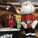 Healthy Dawg Kick-off