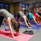 YogaFit LEVEL ONE: Foundations Instructor Training