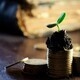 Manage Your Cash Flow Workshop