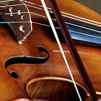Viola Celebration