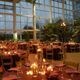 Celebration: Gala in Support of Georgia Museum of Natural History