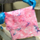 Science + Art + Design Microbial Pigments Workshop