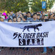 5K Tiger Dash and 1/2- Mile Club Run