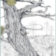 Exhibit opening: Lost in the Woods