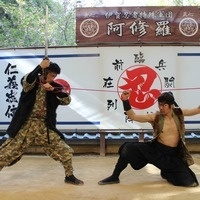 The Art of the Ninja