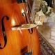 Faculty Tuesdays: Paul Erhard, double bass