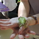 27th Annual Insect-ival