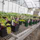 Connect to Protect Native Plant Sale