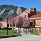 Town Hall: Upcoming Procedure Changes and Project End Dates