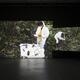 Forest Law by Ursula Biemann and Paulo Tavares, Opening Reception