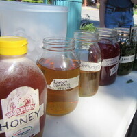 Garden Commons Workshop: Herbs & Tea-Making