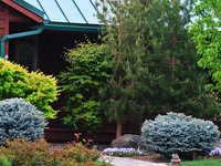 QWEL (Qualified Water Efficient Landscaper) Training & Certification Program