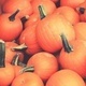 Fall Fest: Pumpkin Pallooza