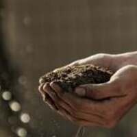 UofL Community Composting Volunteer Day