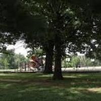 Central Park Clean-up Project