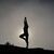Yoga and Ethnobotany in the Arboretum