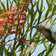 Bird Walk with the Bird School Project