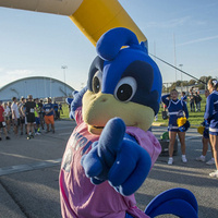 Homecoming 5K