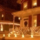 Travel with the NIU Expert: Galena Night of the Luminaria