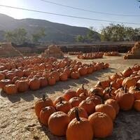 Gilchrist Farm Harvest Festival & Pumpkin Patch