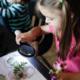 Wonder-filled Wednesdays: Curiosity, Collections, Connection