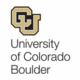 Strategies for Teaching Large Undergraduate Courses