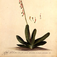 image for event