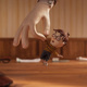 Monday Night Screenings | Contemporary Gems