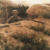 Reading Pastime: Literature in Fiction and Poetry about the Great War
