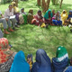 2019 Summer Field Programs Announcement
