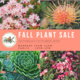 UCSC Arboretum Fall Plant Sale 2018