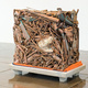 Visiting Artist | Lily Cox-Richard