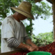 Is Coffee Sustainable? A Roundtable on Production, Trade and Community in the Coffee Industry