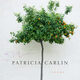 Poetry Forum: Patricia Carlin