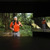 Forest Law by Ursula Biemann and Paulo Tavares
