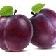 THE PLUM’P PIG at Ellington’s