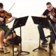 Public Rehearsal with the Amernet String Quartet, FIU's Preeminent Artists-in-Residence