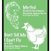 Don't Tell Me I Can't Fly