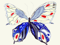 UndocuAlly Workshop